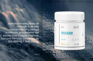 Omega 360 – Suplemento nutricional con Omega‑3 de alta concentración y pureza molecular